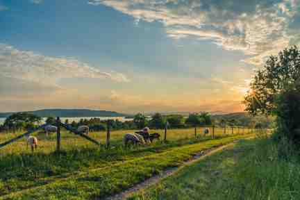 Why take time out for a walk in nature?